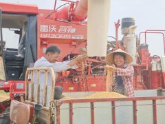 背背工艺的持续立异