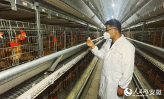 成博士后科研工做坐